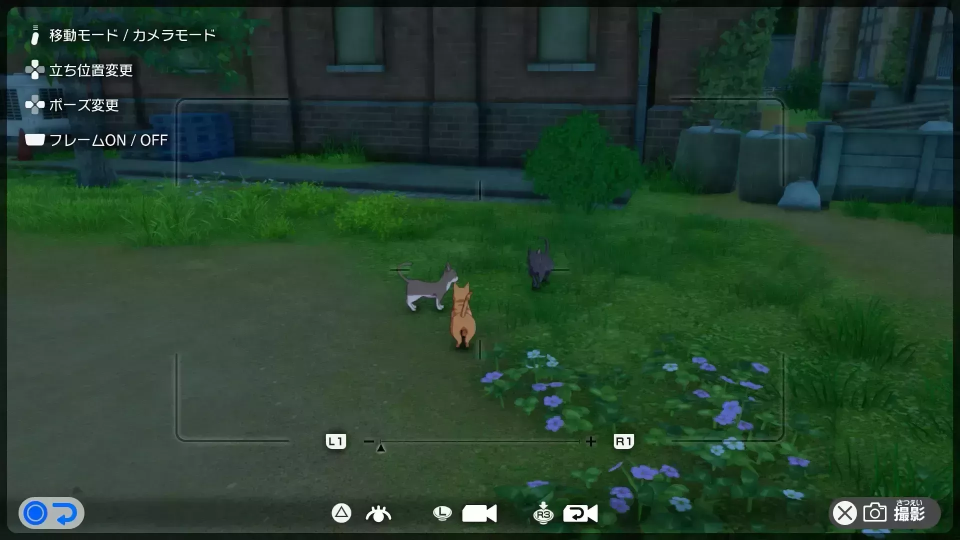 カメラモードでボス猫を撮る