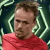 HPミッケルダムスゴー(11/17)画像