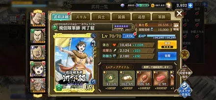 河了貂詳細モザイク