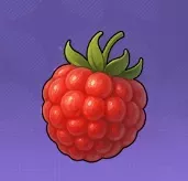 西風のキイチゴ画像