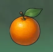 オレンジ画像
