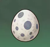 カモメの卵画像