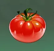 トマト画像