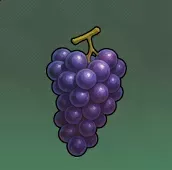 ブドウ画像