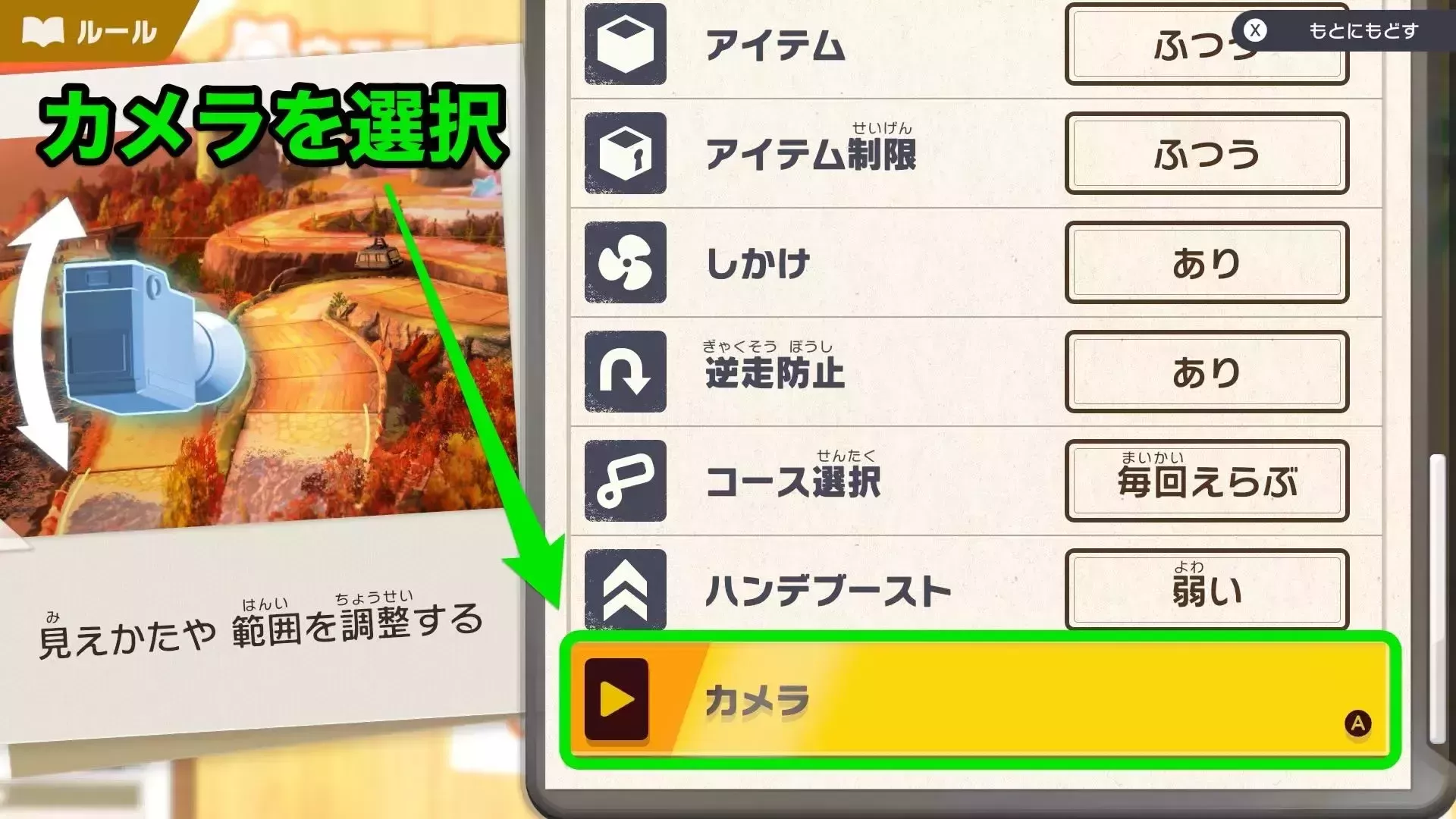 ウエライドカメラ範囲2