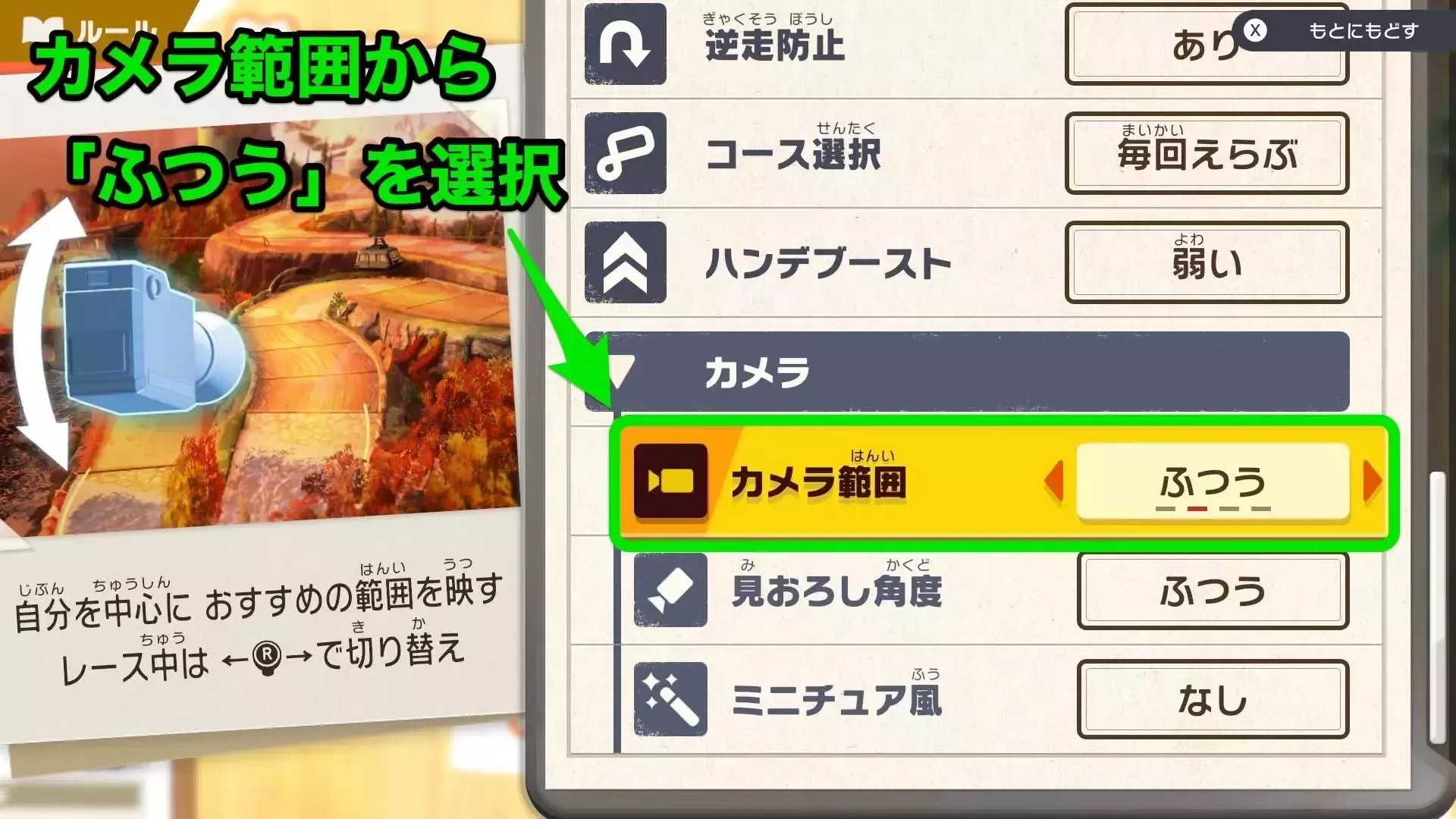 ウエライドカメラ範囲3