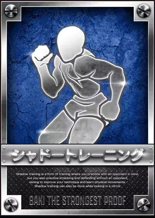 シャドートレーニングの画像