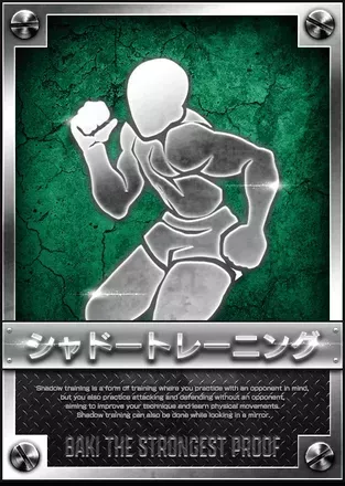 シャドートレーニングの画像