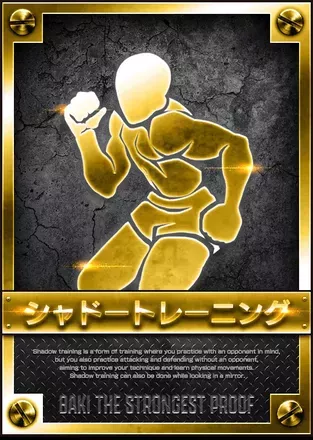 シャドートレーニングの画像