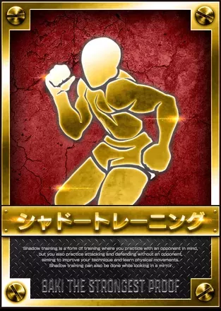 シャドートレーニングの画像