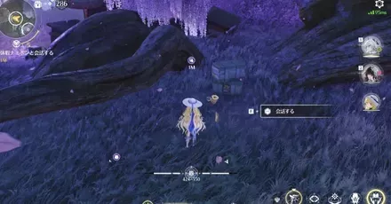 休暇ナミポン見た目