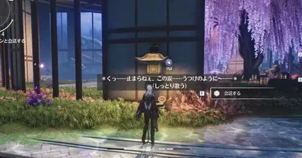 極道ナミポン見た目