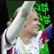 TPアーリングハーランド(11/20)画像