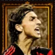 BTズラタンイブラヒモヴィッチ(2010/09/10)画像