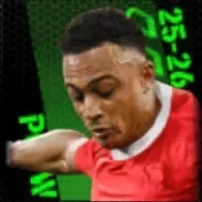 TPダンヌドイ(11/20)画像