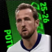 TPハリーケイン(11/20)画像