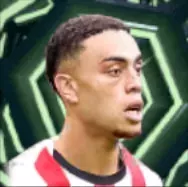 HPセルジーニョデスト(11/20)画像