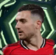 HPディオゴダロト(11/20)画像