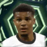 HPマリクチャウ(11/20)画像