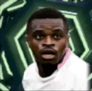 HPピエールカルル(11/20)画像