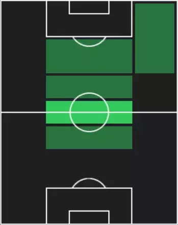 HPトンマーゾ・ポベーガ(11/20)の適性ポジション