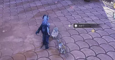 ネオンキャット見た目