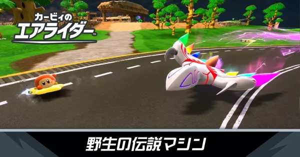 野生の伝説マシンの攻略