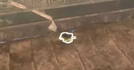 みんなちっちゃくなった画像