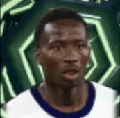 HPパプマタルサール(11/24)画像