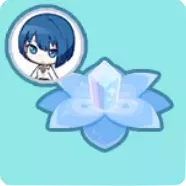 セレブレーションフラワー