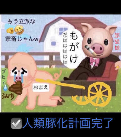 コメント画像