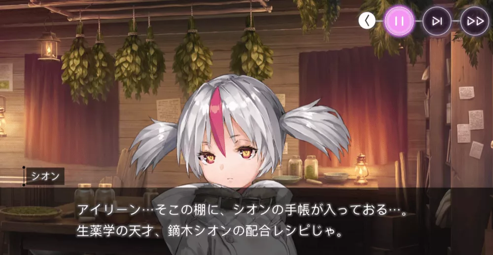 アイリーン・レドメインの事件簿