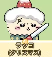 ラッコ（クリスマス）画像