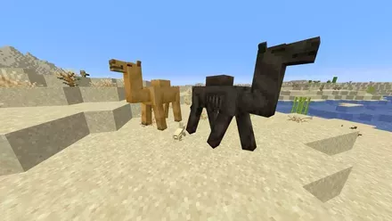 ラクダハスクとラクダ