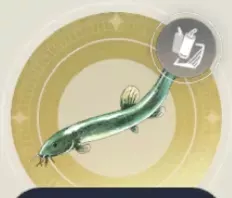 モズクドジョウの画像