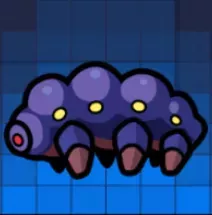 クマムシ標本画像