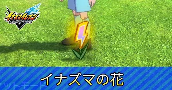 イナズマの花