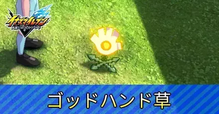 ゴッドハンド草