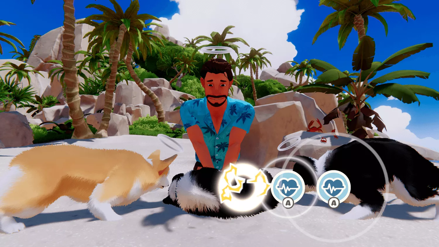 マイリトルパピー⑥