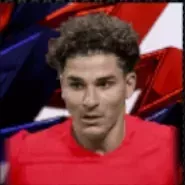 HPフリアン・アルバレス(12/01)の画像