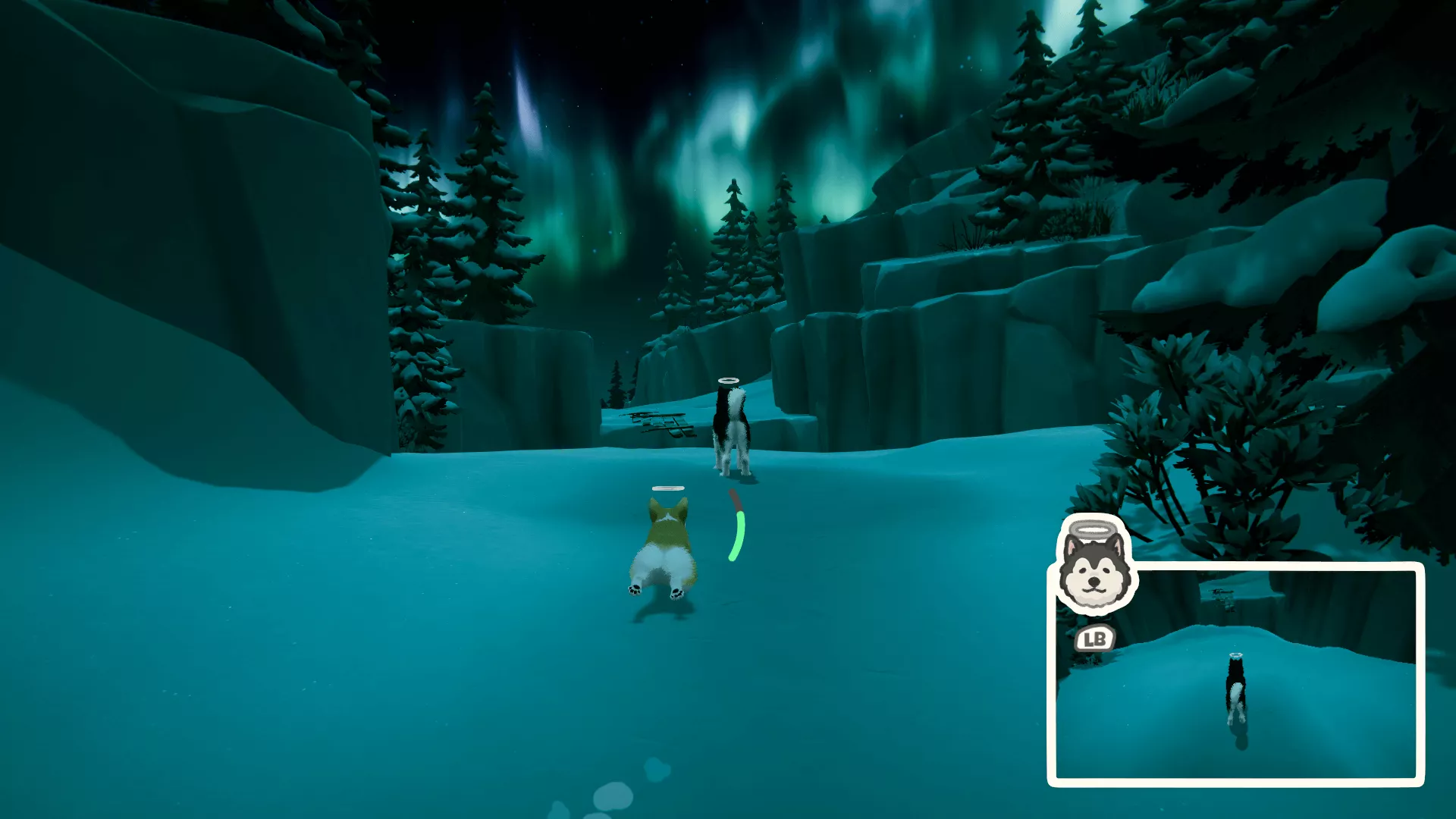 マイリトルパピー⑧