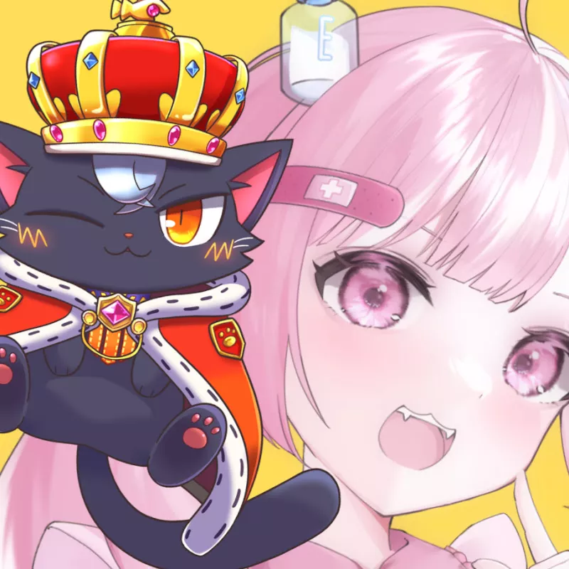 こくおうとめう