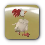 荒野のニワトリ