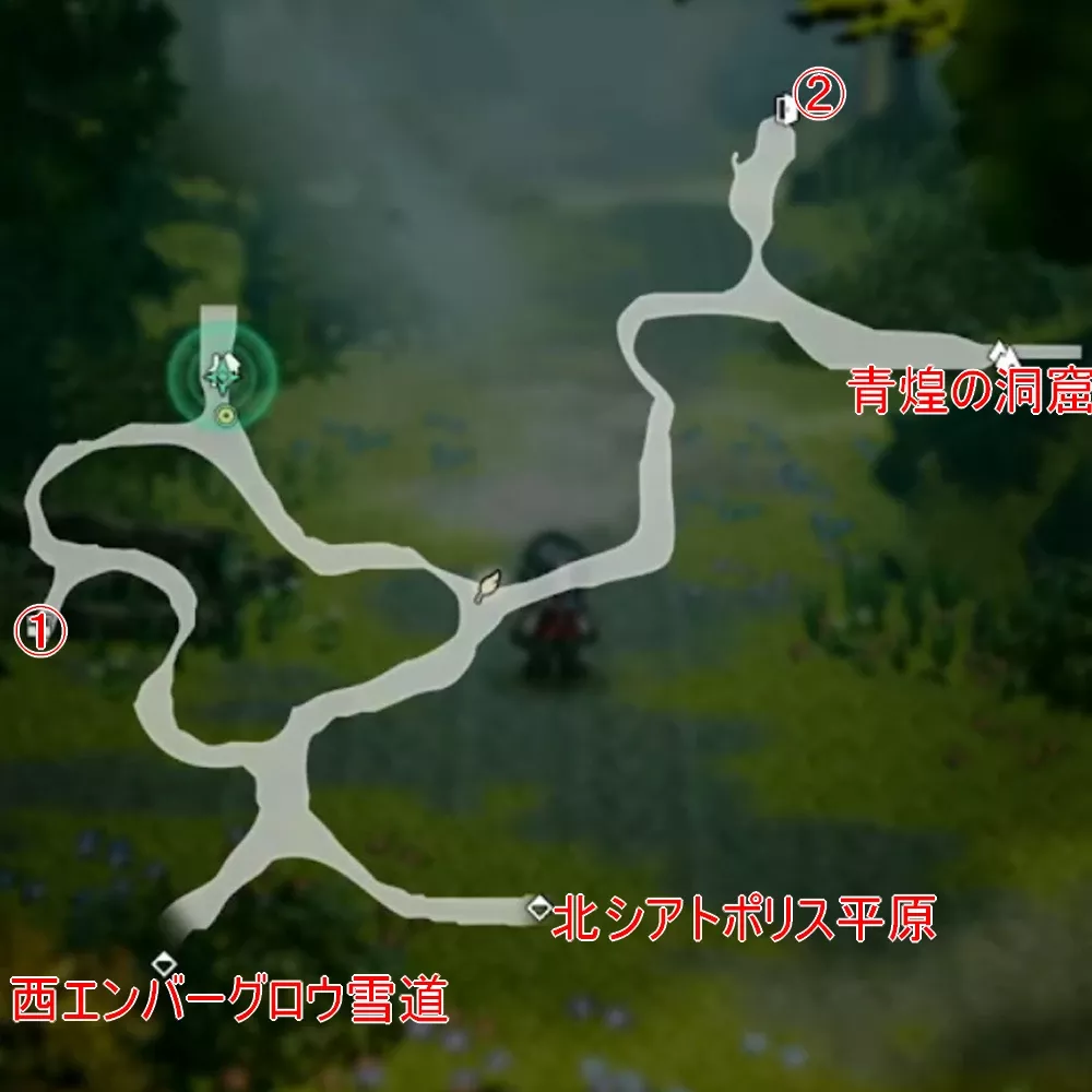 ウィッシュベール森道