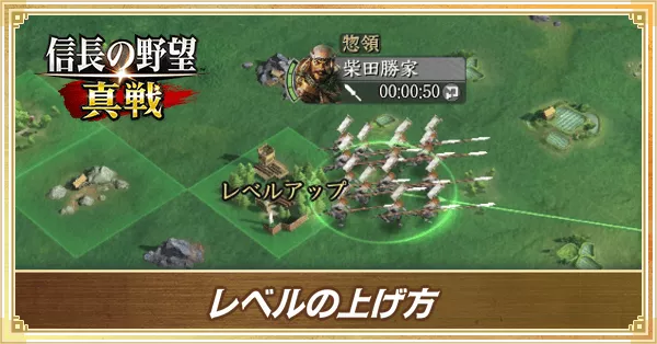 レベルの上げ方