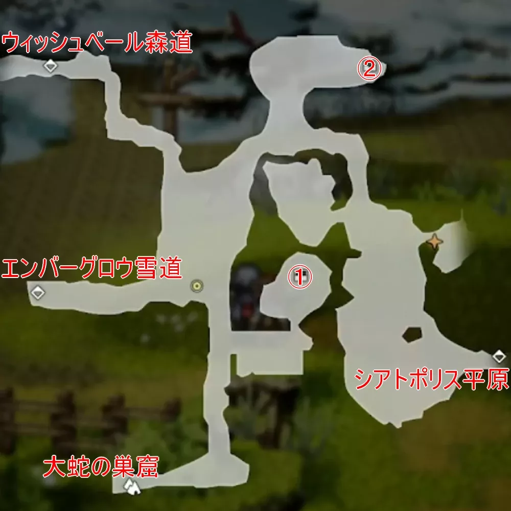 北シアトポリス平原