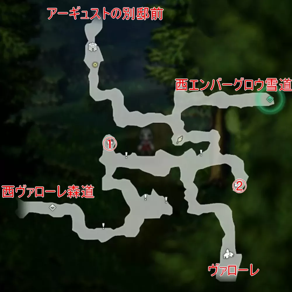 ヴァローレ森道