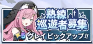 熟練巡遊者募集 (グレイ)画像