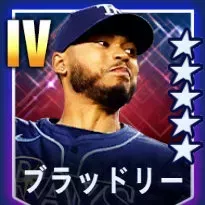 ブラッドリー画像