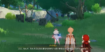 ヒルチャール見た目